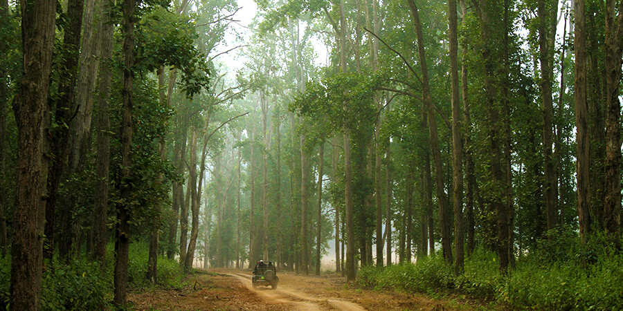 Kanha National Park